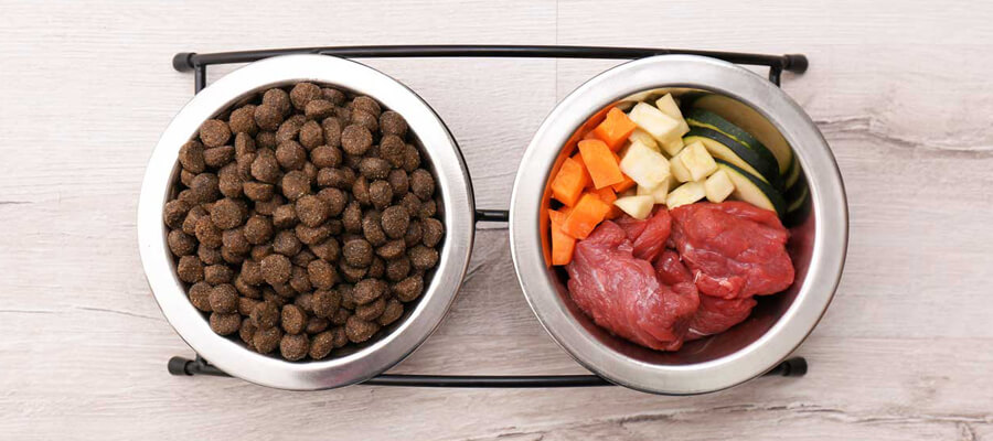 How to Choose the Best Treats for Your Dog’s Health: A Comprehensive Guide